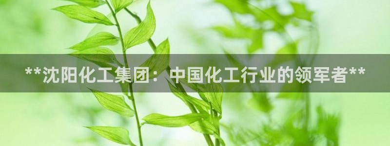 球盟会黑款吗是真的吗