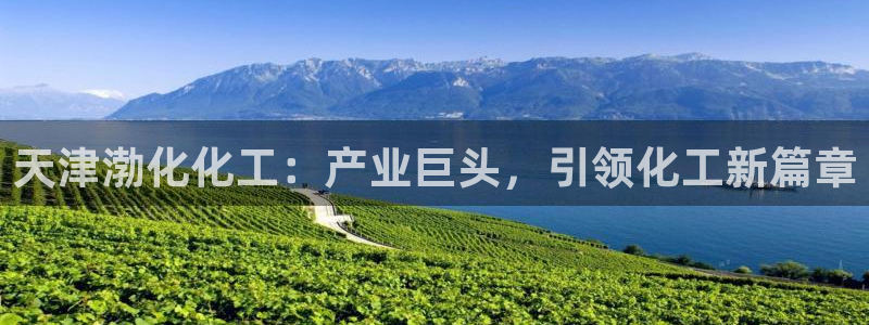 球盟会黑台子吗