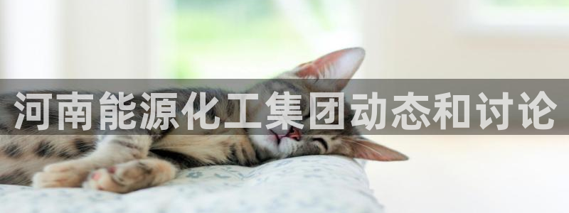 球盟会黑台子吗