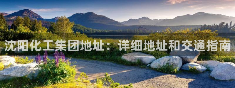 球盟会黑钱