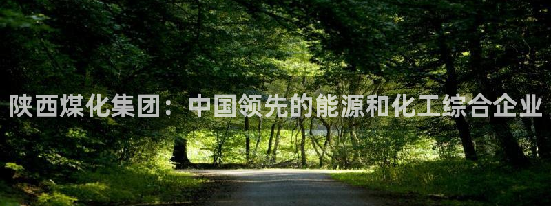 球盟会下载最新版：陕西煤化集团：中国领先的能源和化工综合企业