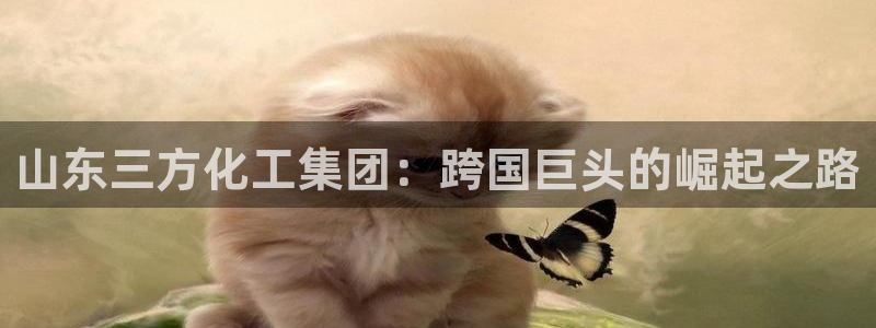球盟会app最新地址在哪看