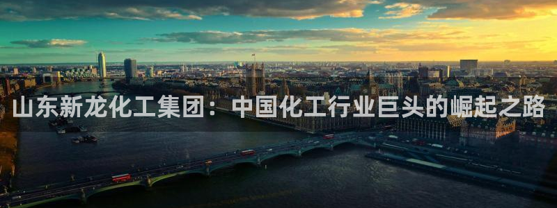 球盟会电子