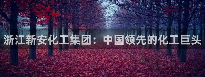 球盟会在线登入：浙江新安化工集团：中国领先的化工巨头
