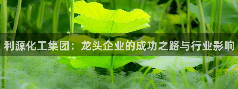 球盟会官网app下载