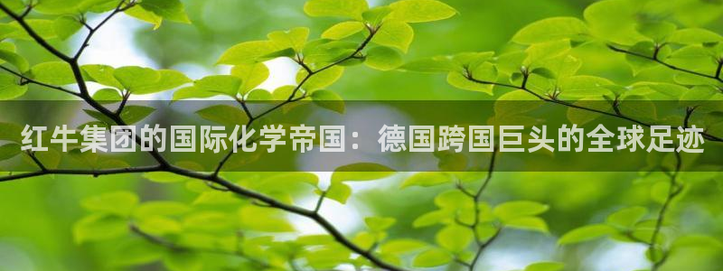 球盟会