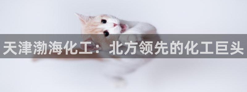 球盟会官方网页登录：天津渤海化工：北方领先的化工巨头