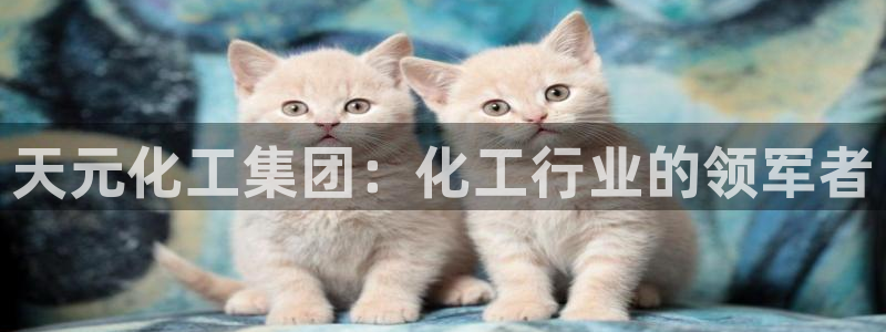球盟会网页版登陆