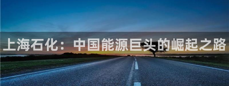球盟会下载最新版