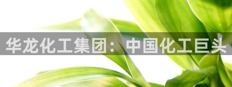 球盟会连接