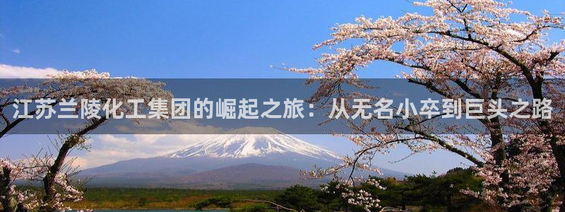 球盟会qmh