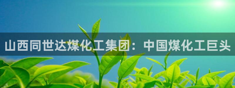 球盟会APP最新地址