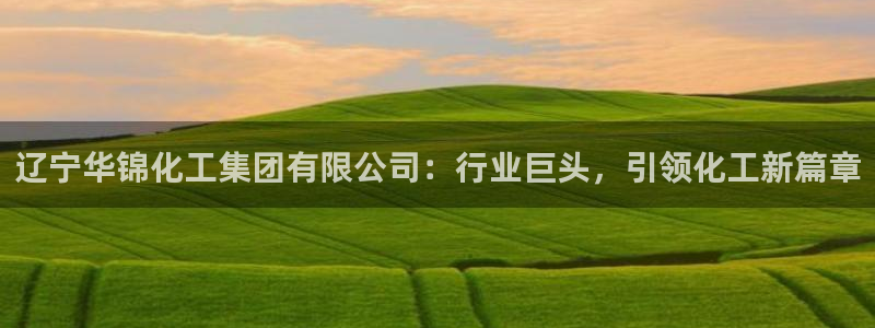 球盟会可以提现么
