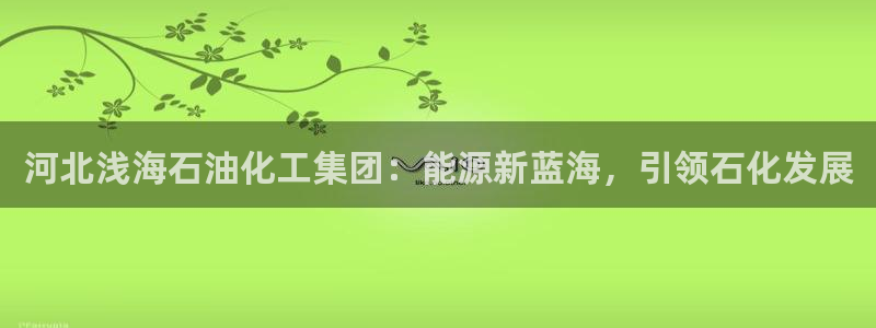 球盟会官方网入口