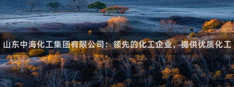 球盟会有没有黑单的：山东中海化工集团有限公司：领先的化工企业