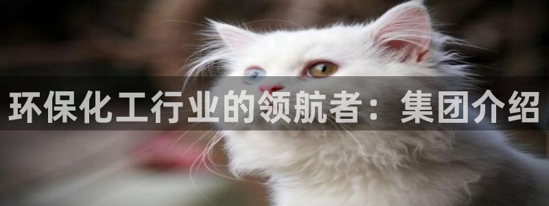 球盟会网页登录app下载地址