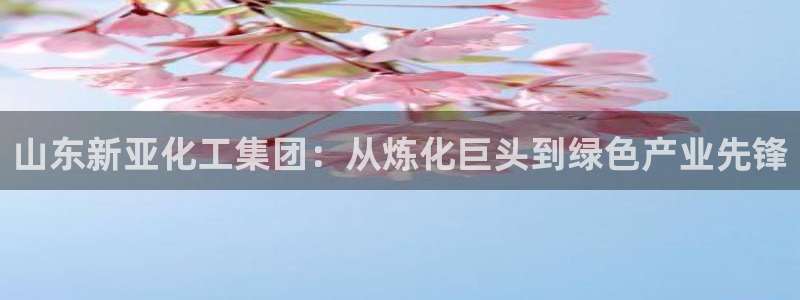球盟会头号玩家