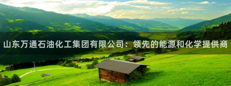 球盟会app网址多少：山东万通石油化工集团有限公司：领先的能