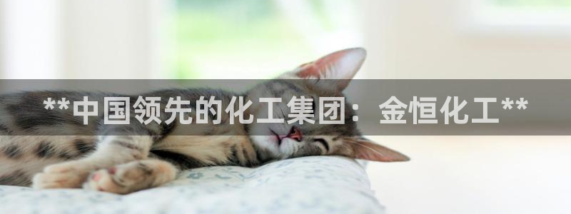 球盟会福利码2023最简单三个步骤：**中国领先的化工集团：