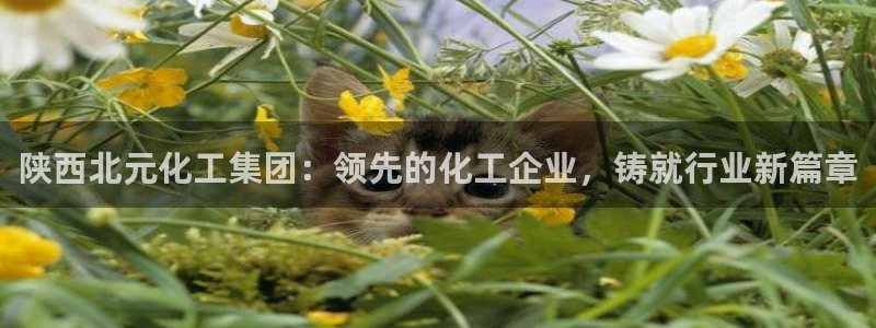 球盟会论坛