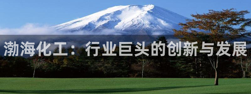 球盟会入口
