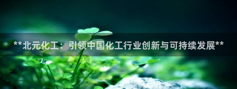 球盟会官方网站：**北元化工：引领中国化工行业创新与可持续发