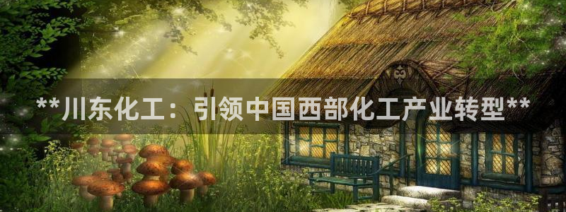 球盟会手机网页版：**川东化工：引领中国西部化工产业转型**