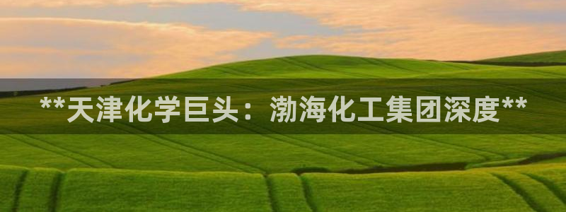 球盟会中国官方网站：**天津化学巨头：渤海化工集团深度**