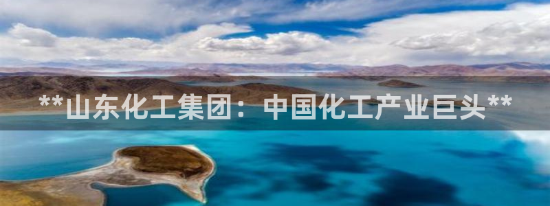 球盟会封禁：**山东化工集团：中国化工产业巨头**