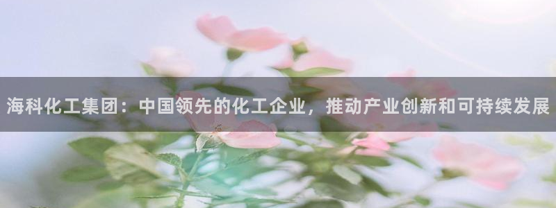 球盟会和中欧：海科化工集团：中国领先的化工企业，推动产业创新
