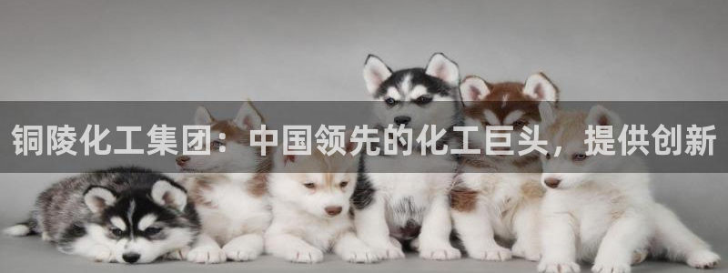 球盟会乐虎：铜陵化工集团：中国领先的化工巨头，提供创新
