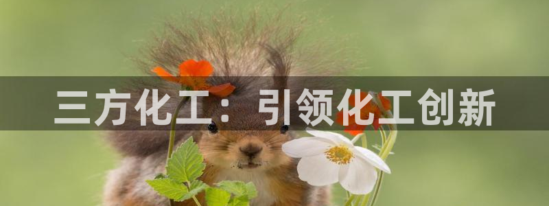 球盟会app最新地址下载：三方化工：引领化工创新