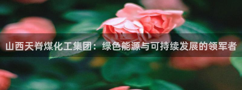 球盟会在线登入：山西天脊煤化工集团：绿色能源与可持续发展的领