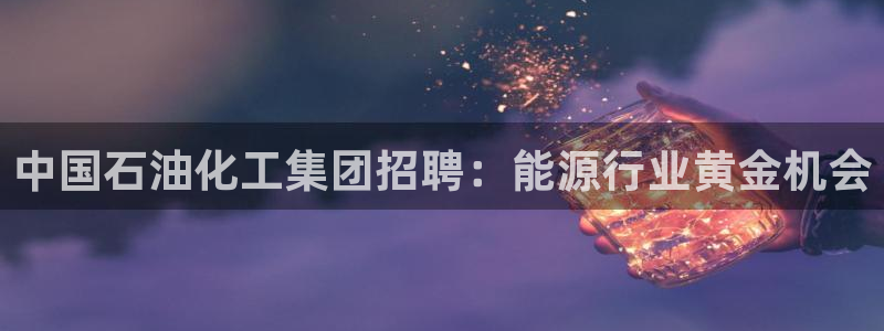 球盟会官方