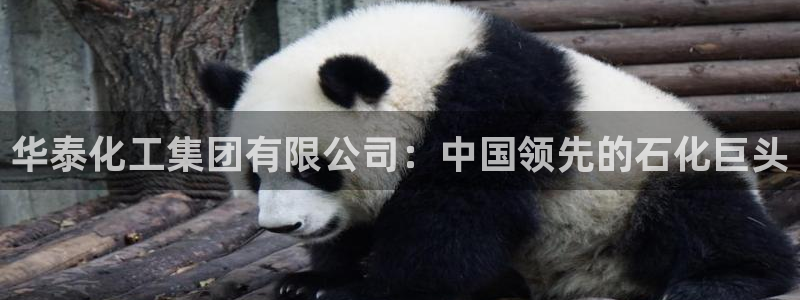 球盟会进不去：华泰化工集团有限公司：中国领先的石化巨头