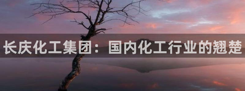 球盟会网页版