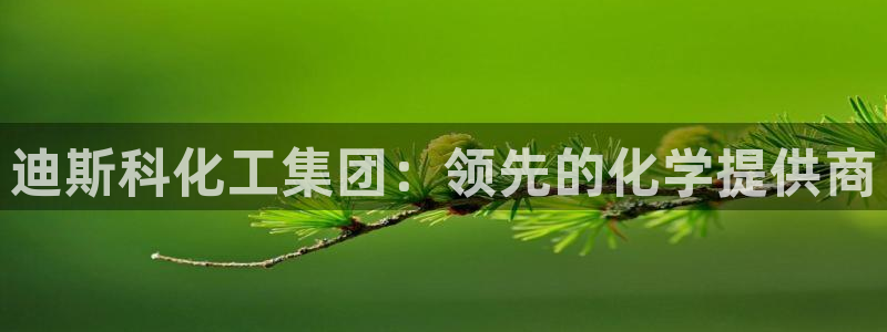 球盟会优惠领取网站是真的吗：迪斯科化工集团：领先的化学提供商