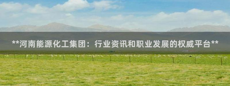 球盟会里面有打牌的嘛是真的吗：**河南能源化工集团：行业资讯