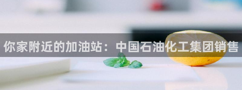 球盟会最新