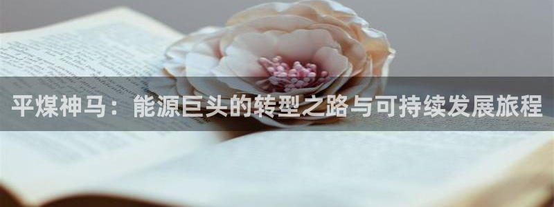 球盟会黑平台