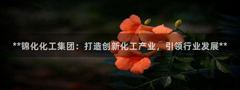 球盟会qm9：**锦化化工集团：打造创新化工产业，引领行业发