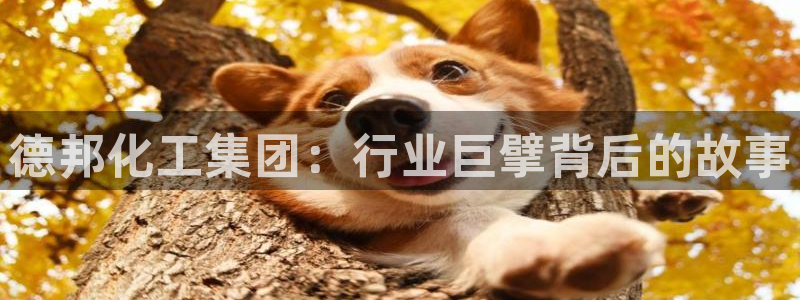 球盟会连接