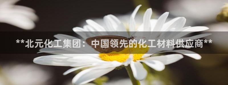 球盟会登录入口：**北元化工集团：中国领先的化工材料供应商*