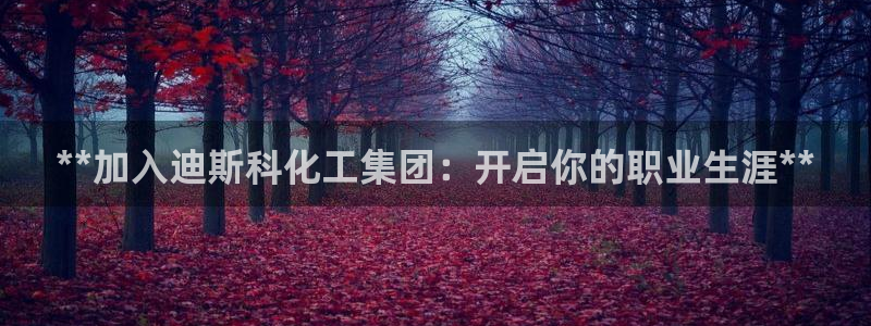 球盟会提款支付宝怎么样：**加入迪斯科化工集团：开启你的职业