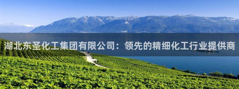 球盟会下款快吗：湖北东圣化工集团有限公司：领先的精细化工行业