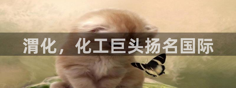 球盟会APP官网：渭化，化工巨头扬名国际