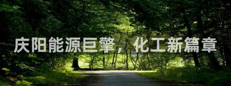 球盟会：庆阳能源巨擎，化工新篇章