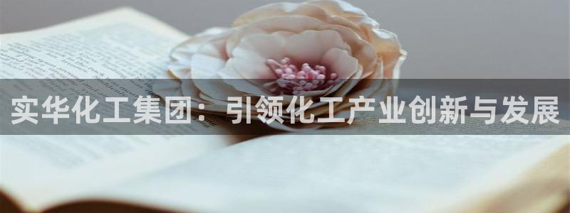 球盟会可以提现么