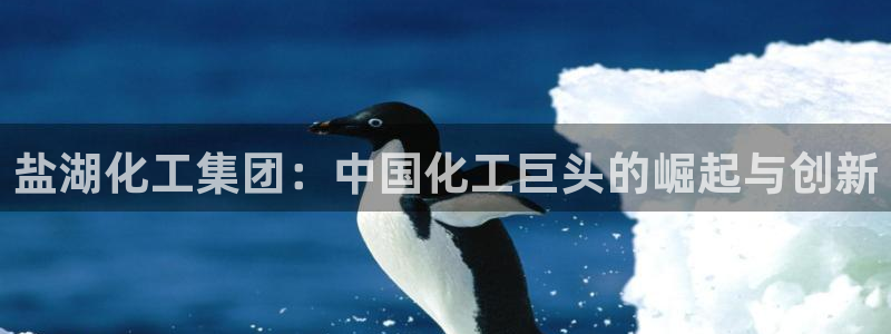 球盟会最新