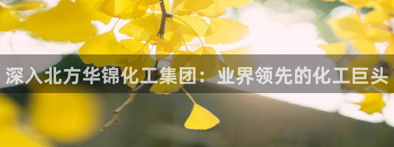 球盟会APP最新地址